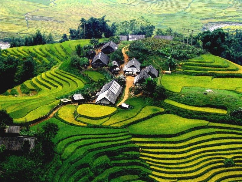 Sapa Tours